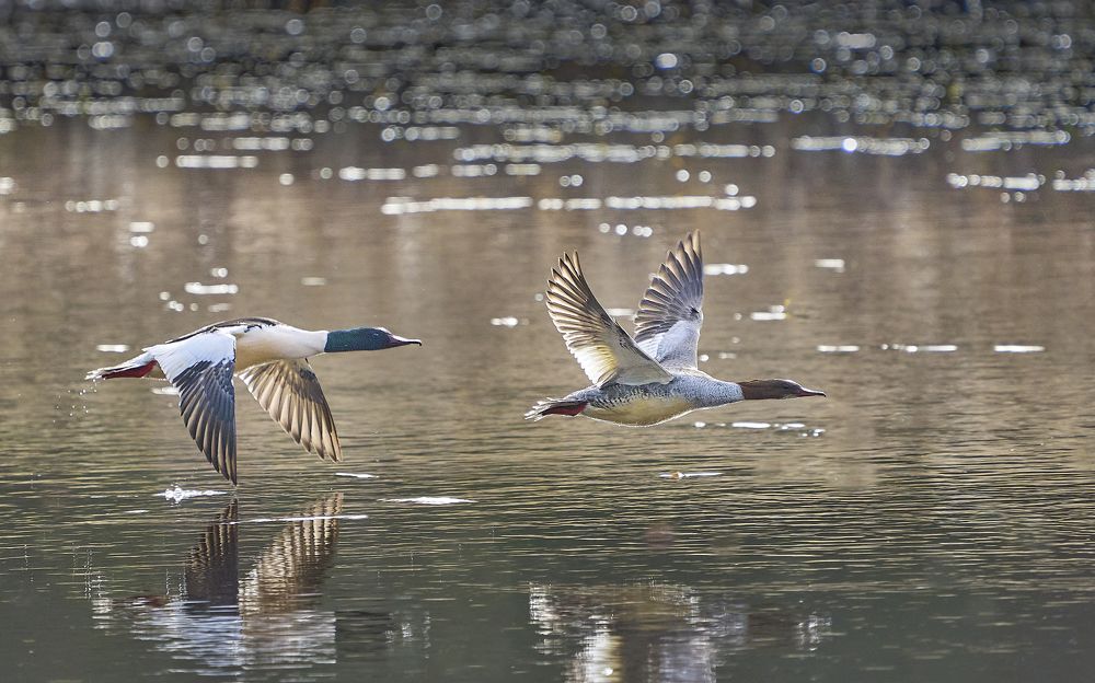 Photograph by Puum Mati