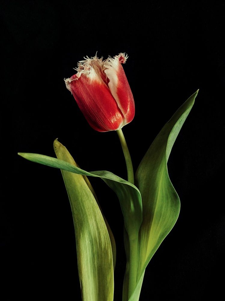 Photograph by Anastasiya Danilova