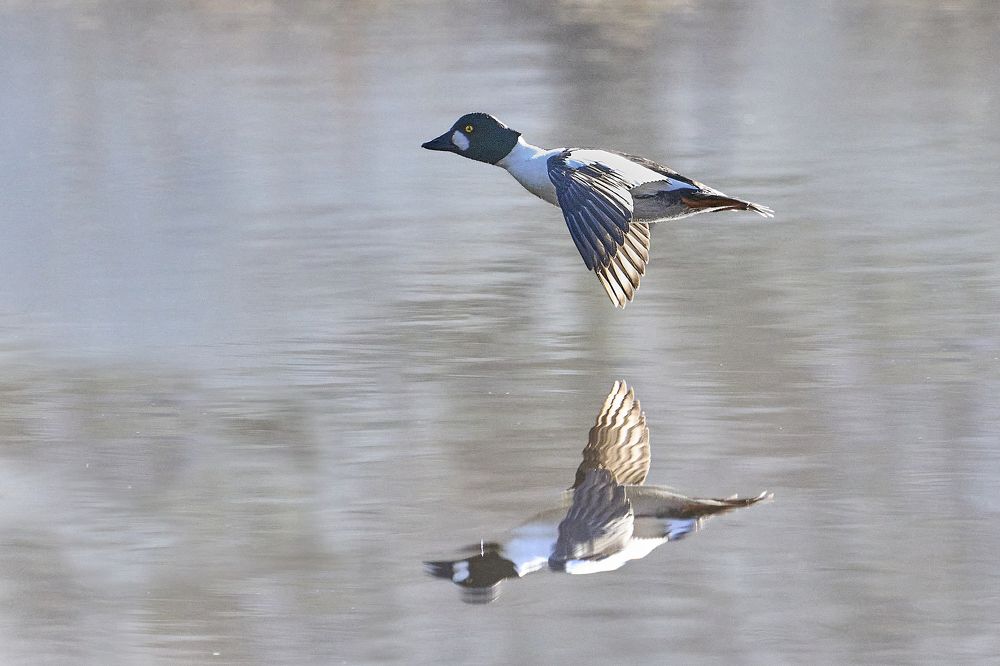 Photograph by Puum Mati