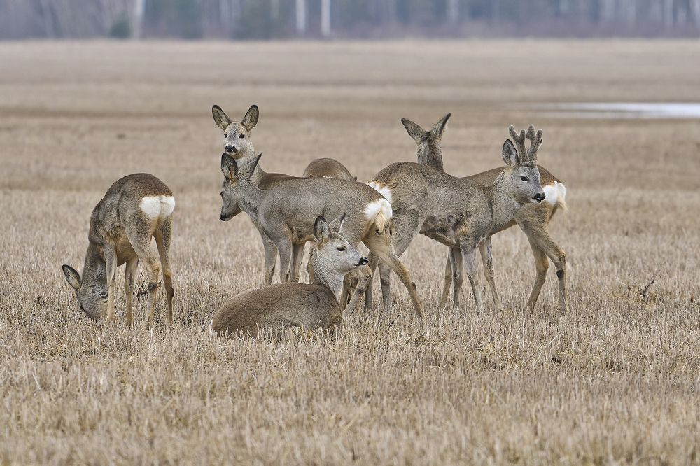 Photograph by Puum Mati