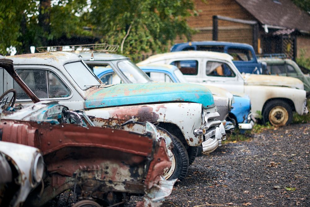 Photograph by Евгения Гловацкая