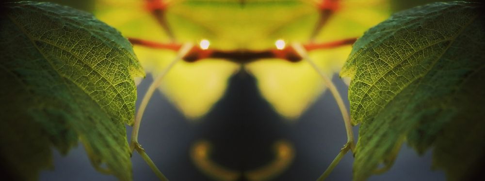 Photograph by Алексей Титков