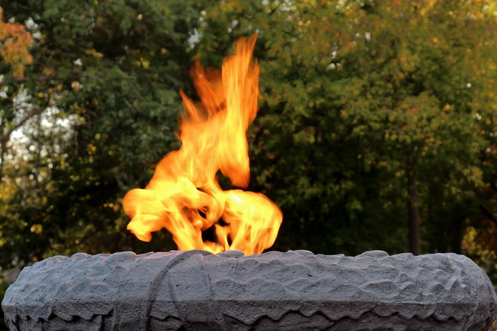 Конь - стражник