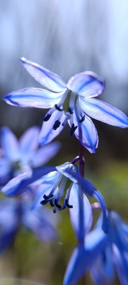 Photograph by Валерия