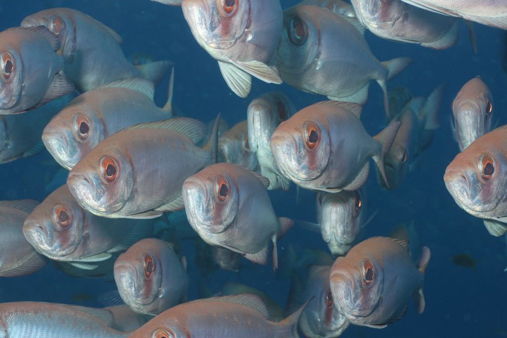 Photograph by Michelle Burge