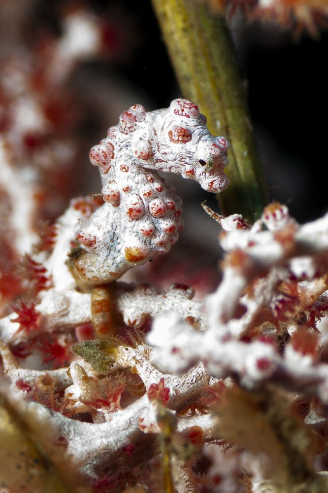 Photograph by Michelle Burge