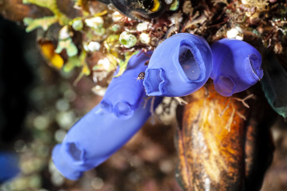 Photograph by Michelle Burge