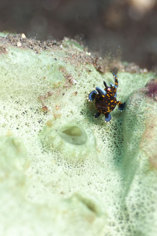 Photograph by Michelle Burge