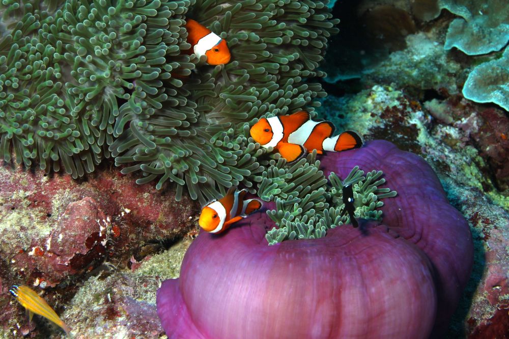 Photograph by Michelle Burge