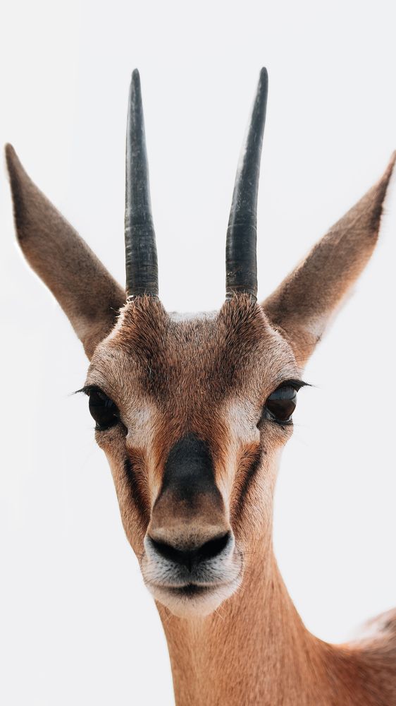 Photograph by Haresh Rabari