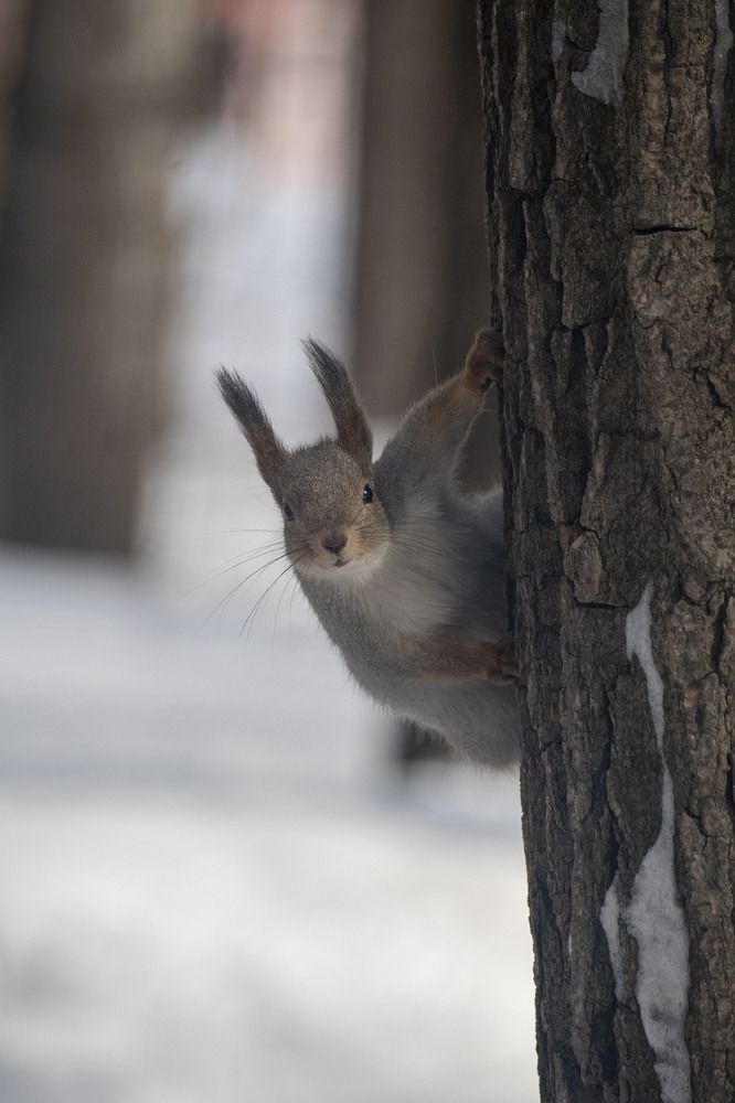Photograph by Вадим Юрьевич