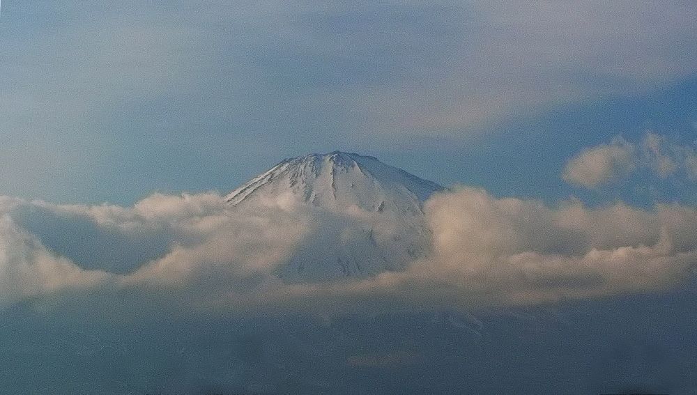 Фотография автора АЛЕКСАНДР ЦЫГЕЛЬНЮК