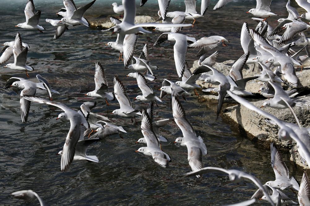 Photograph by Алик Хасанов