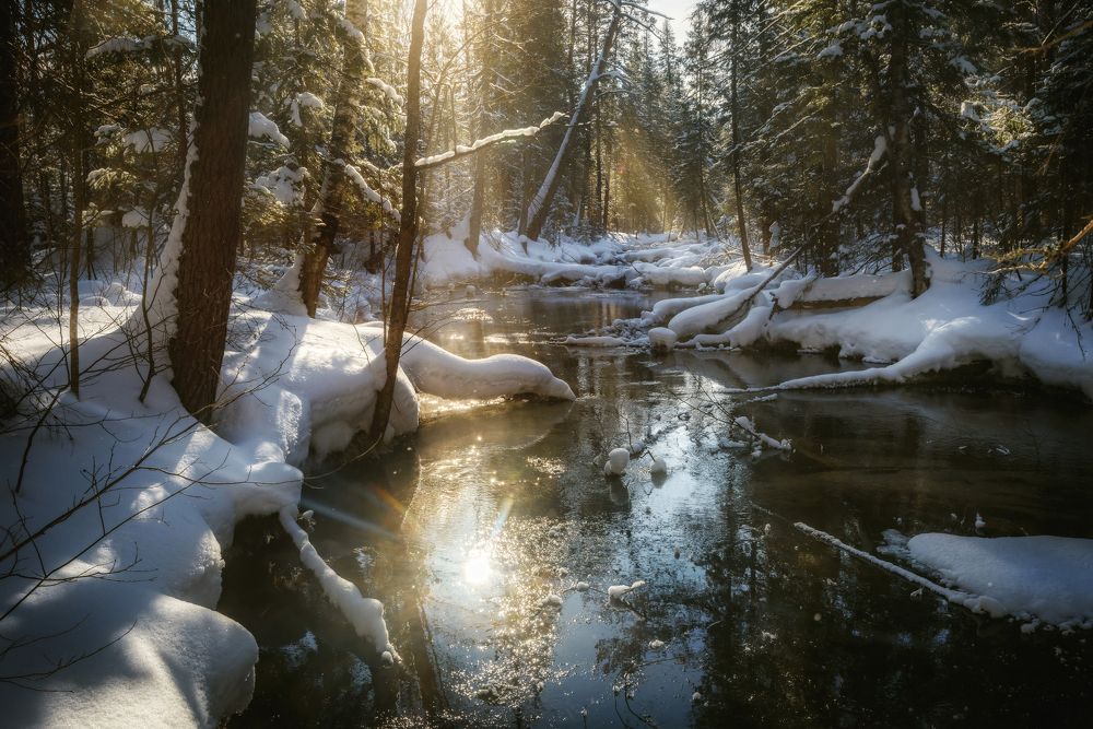 Photograph by Соколова Елена