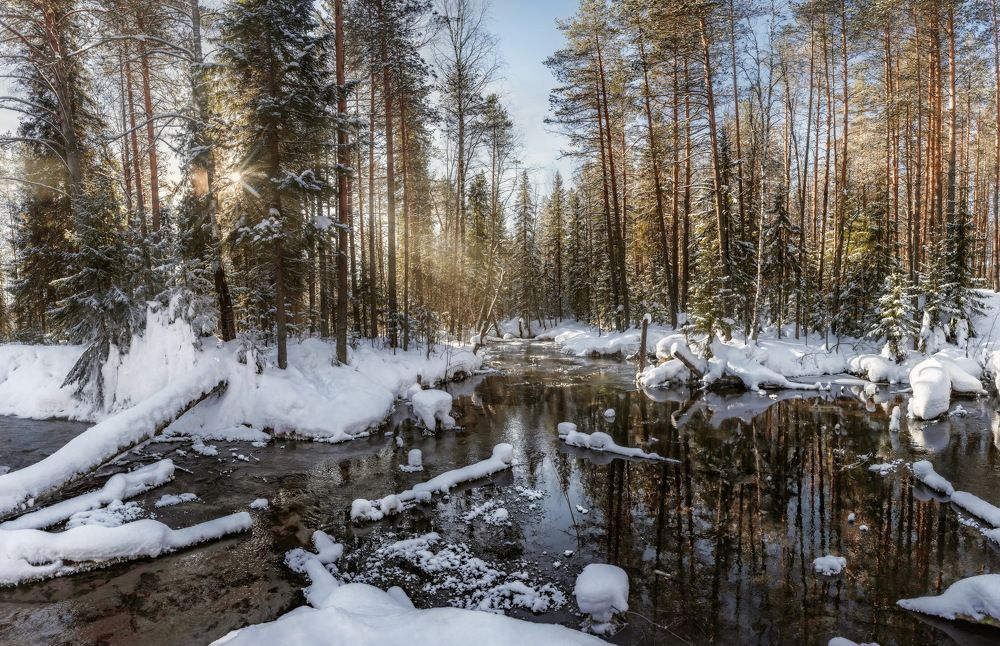 Photograph by Соколова Елена