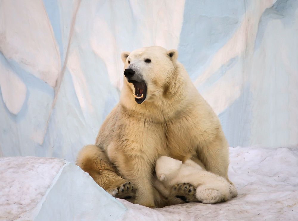 Photograph by Andrey Pristyazhnyuk