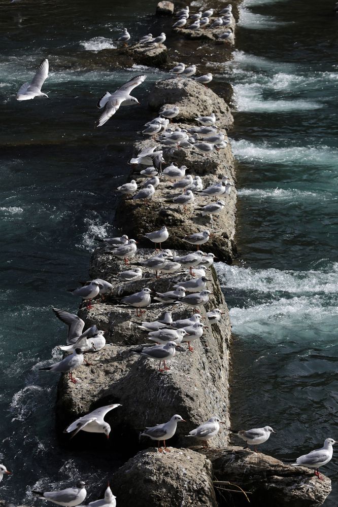 Photograph by Алик Хасанов