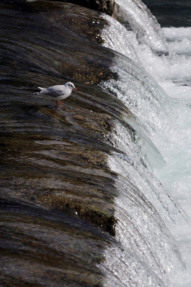 Photograph by Алик Хасанов