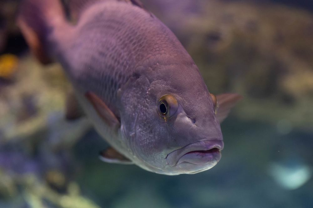 Photograph by Сергей Шпаков