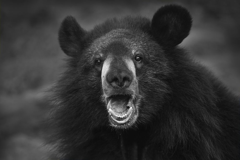 Photograph by ARUNAVA DEY