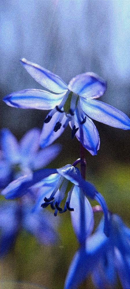Photograph by Валерия