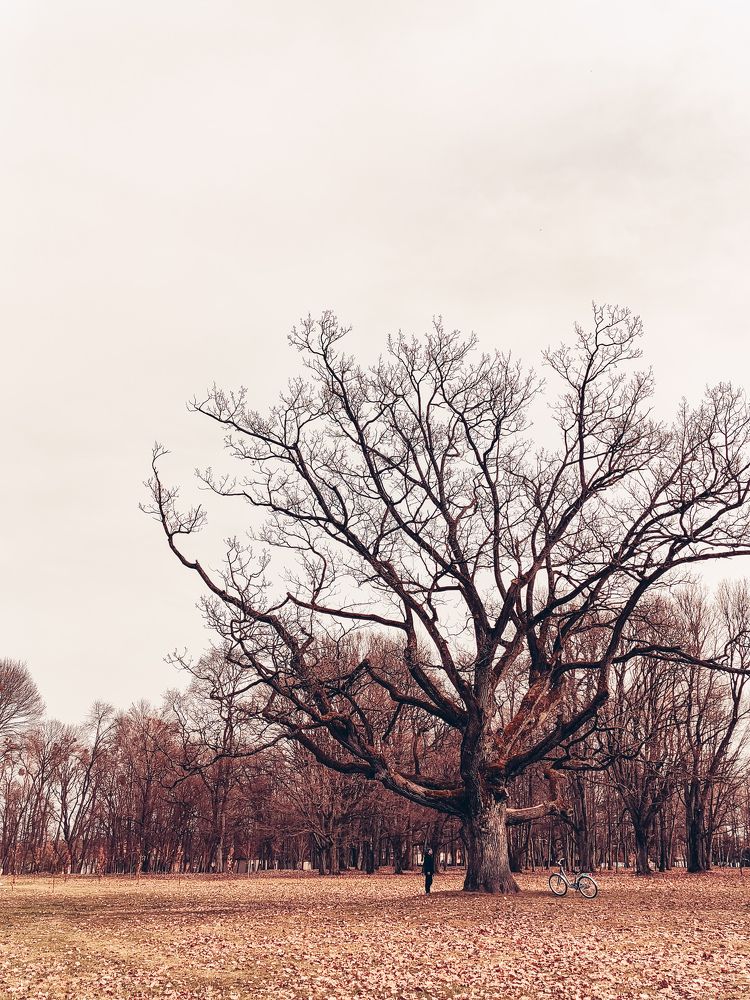 Photograph by Татьяна
