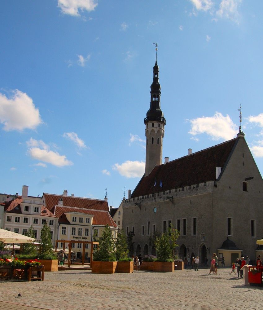 Photograph by Anna Baykova