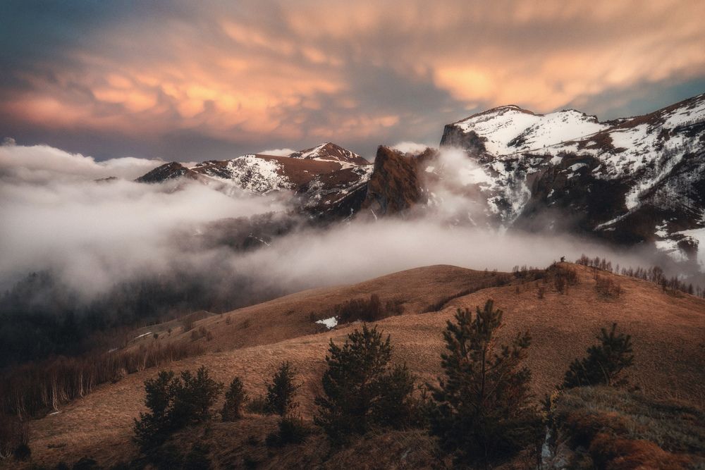 Photograph by Лукашенко Сергей