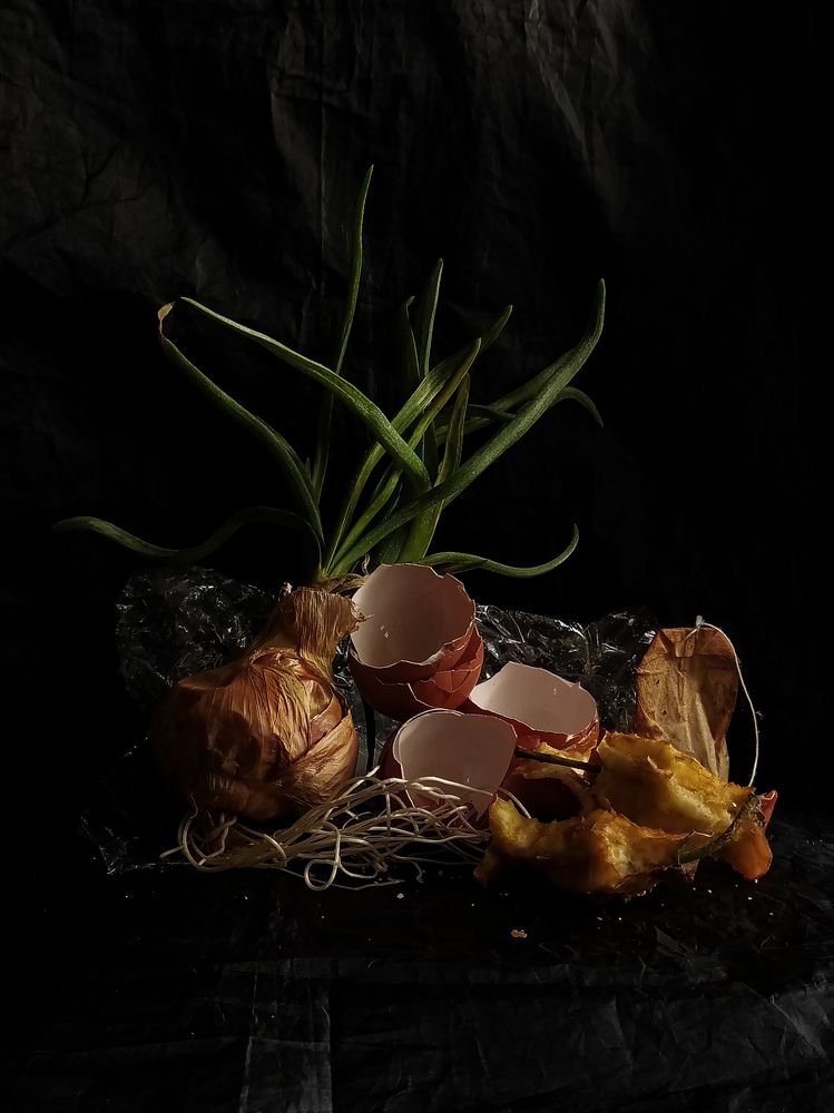 Даже мусор может быть красивым