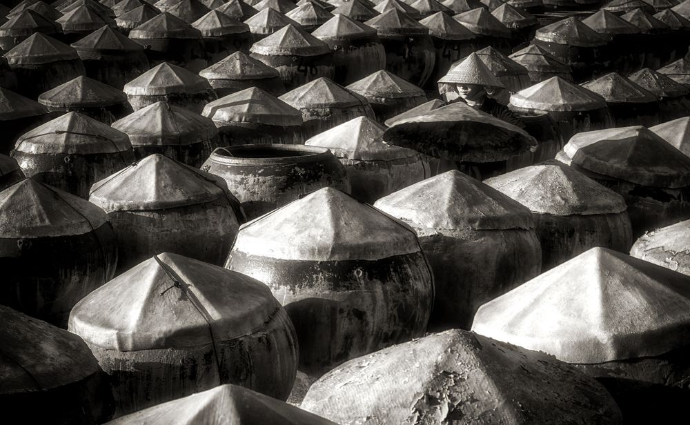 Фотография автора Hồ Đăng Khoa