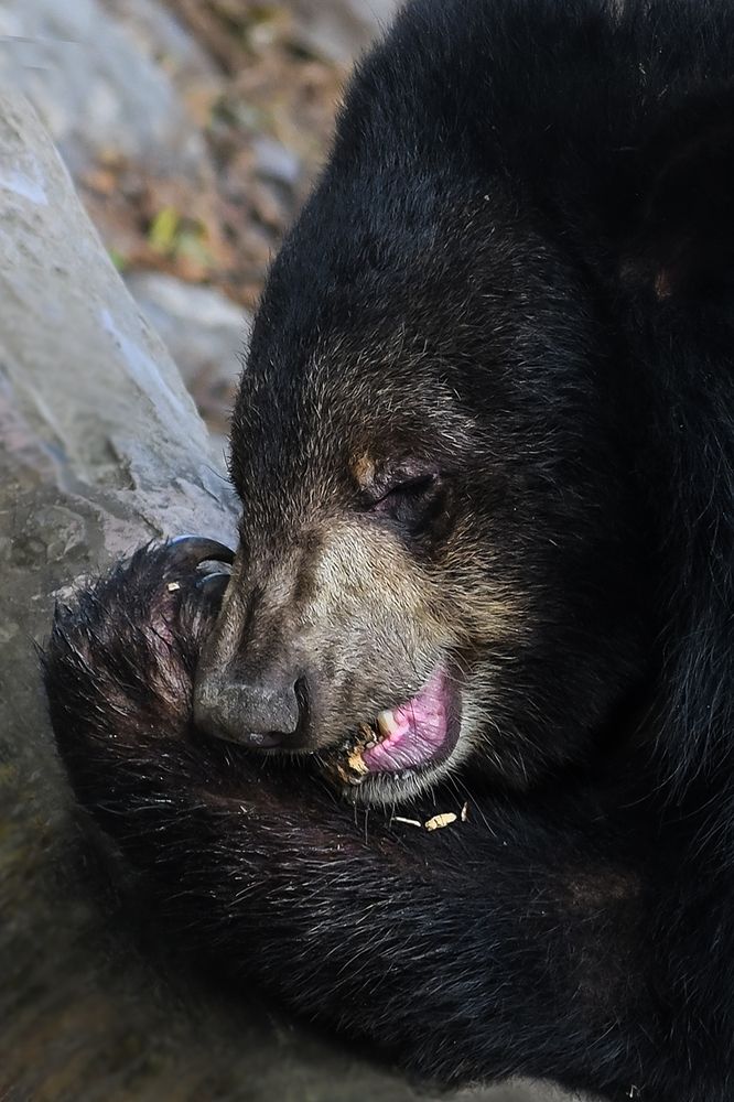 Photograph by ARUNAVA DEY