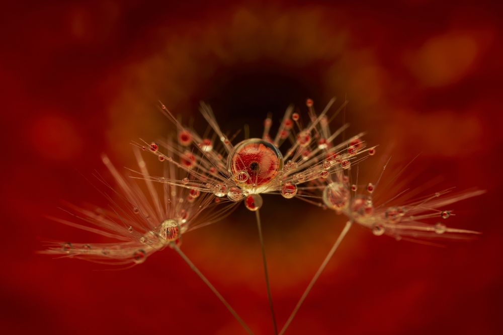 Photograph by Руфат Лажанский