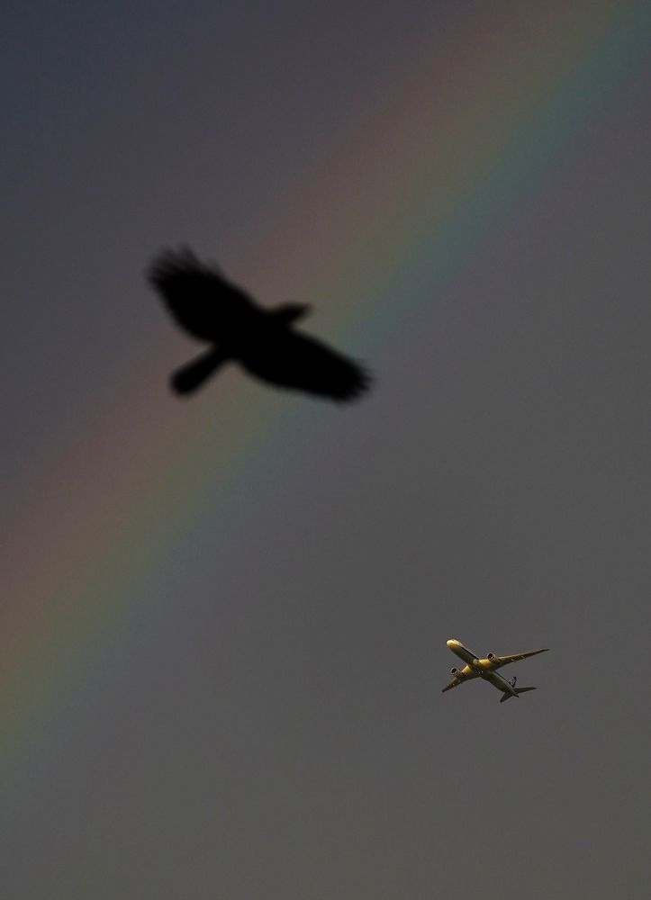 Photograph by Aswad Yahya