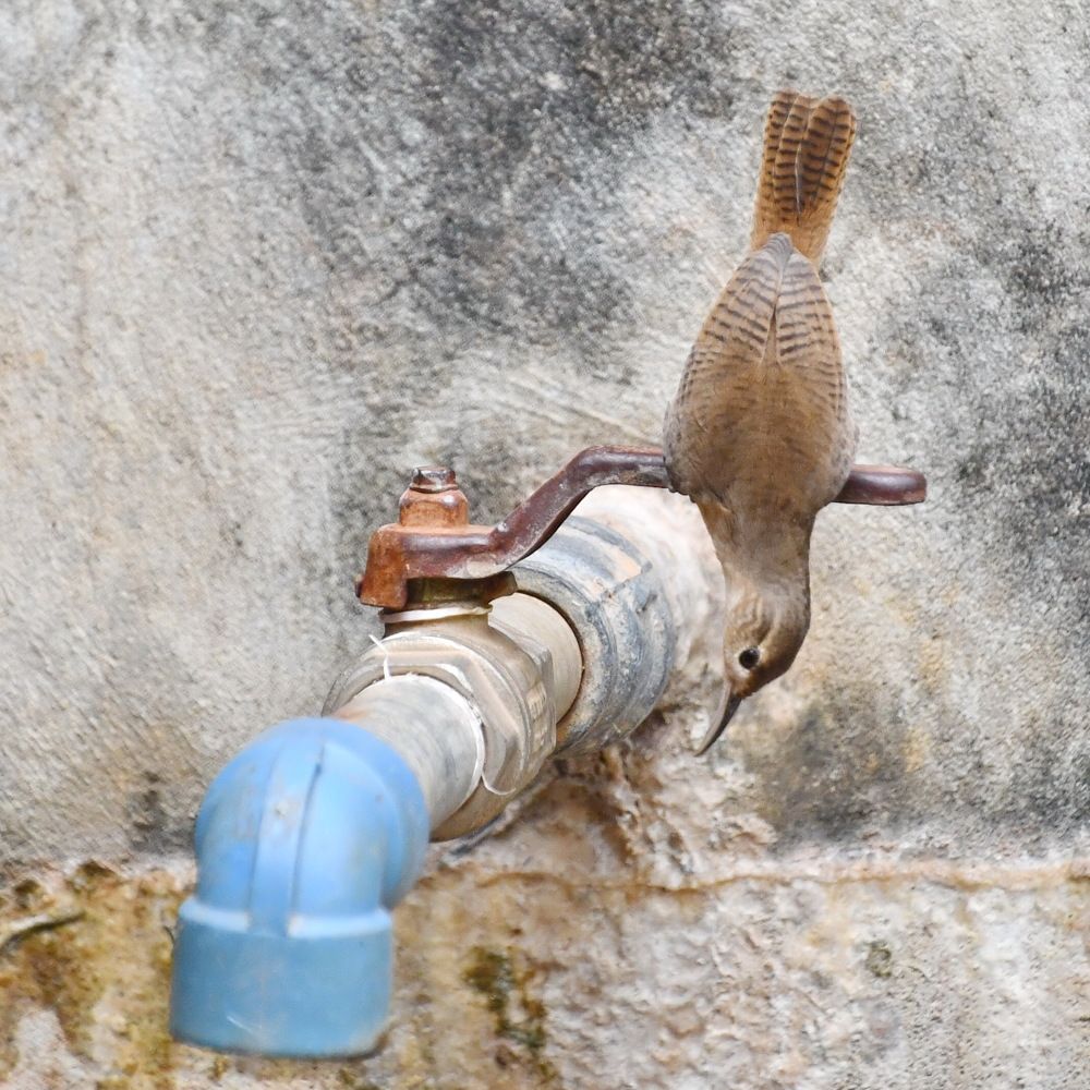 Photograph by Marzio Fattorini