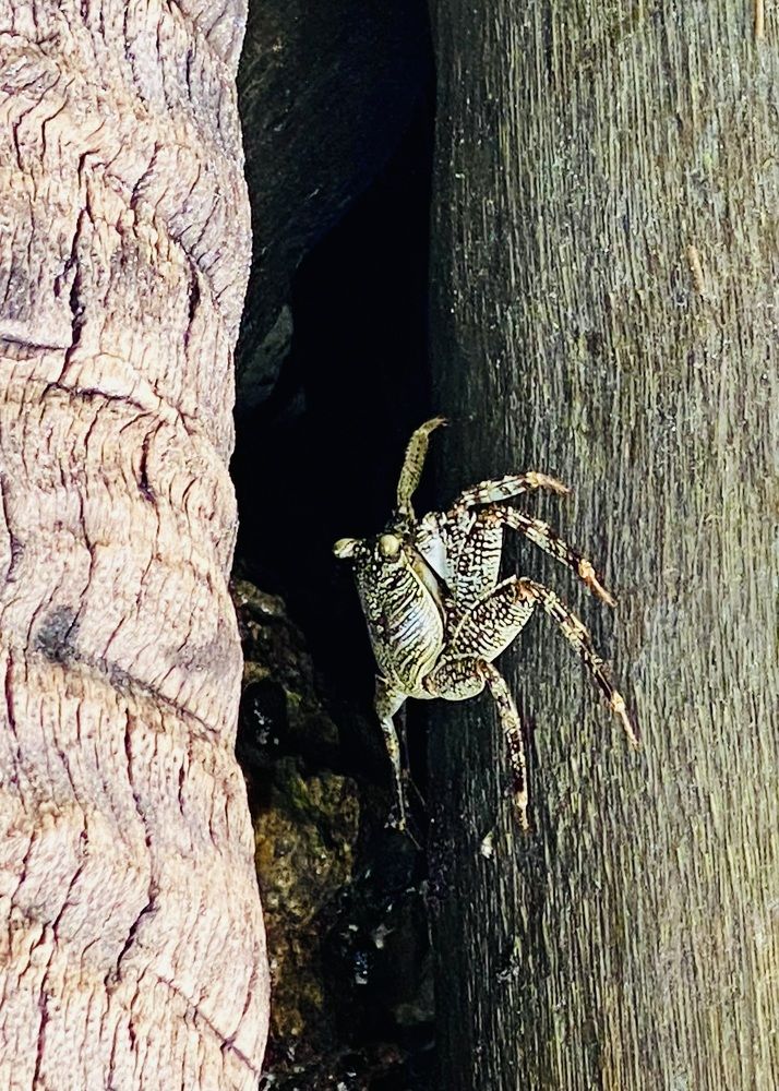 Фотография автора ГУЗАЛИЯ ГАНИЕВА