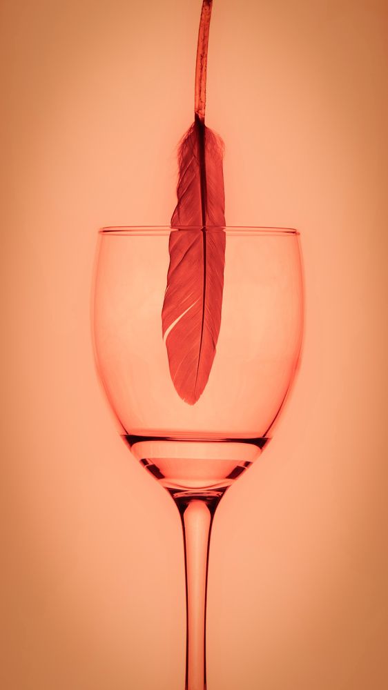 Photograph by Artur Aghababyan