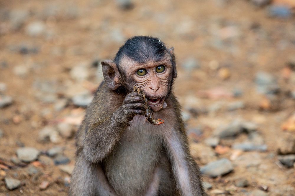 Photograph by NguyenKhoi Do