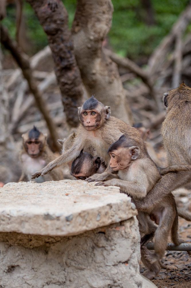 Photograph by NguyenKhoi Do