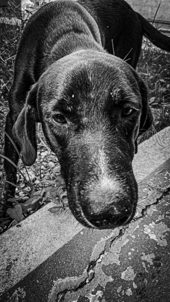 Photograph by christiano gripp