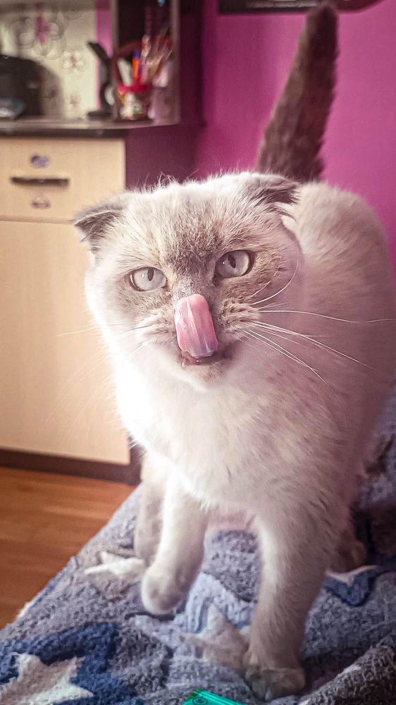 Photograph by Денис Бочаров