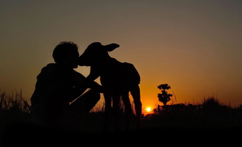 Photograph by Atanu Ghosal