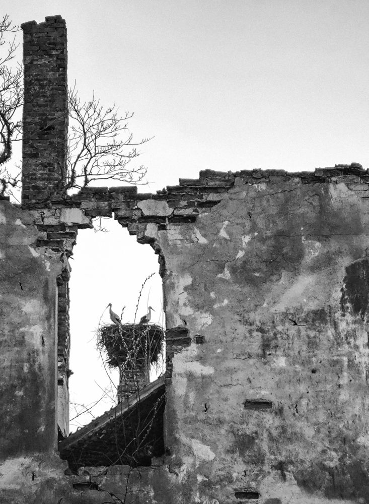 Фотография автора Лена Гром