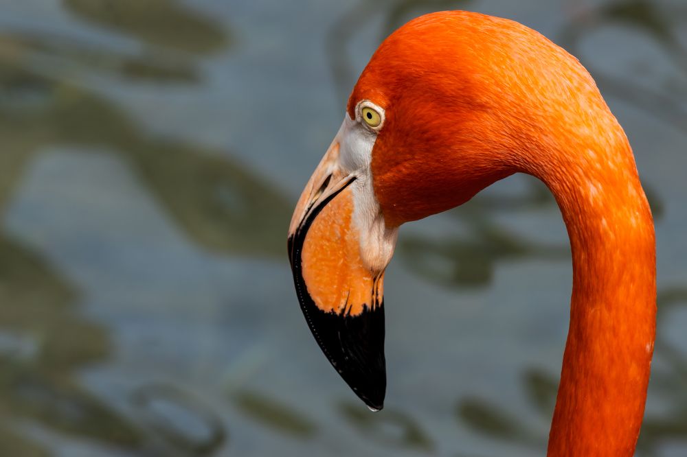 Photograph by Elaina Holland