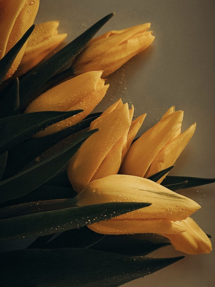 Photograph by Svetlana