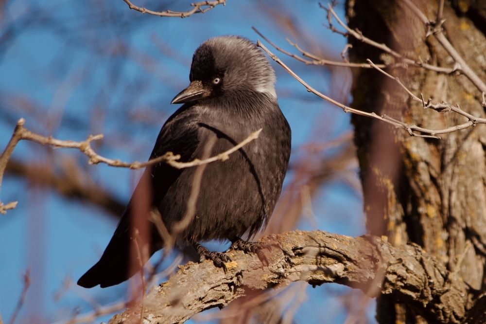 Photograph by Виктор Владимиров