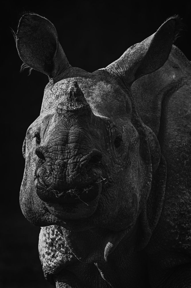 Photograph by Bijay Das