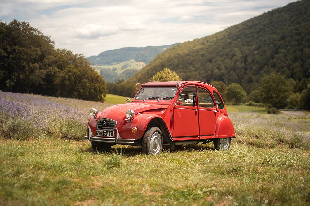 Photograph by Laura Quintanel