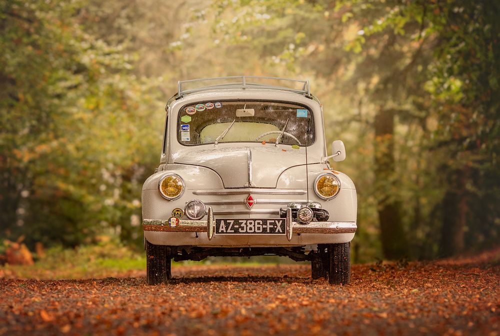 Photograph by Laura Quintanel