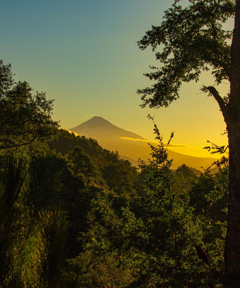 Photograph by Ekaterina Narozhnova