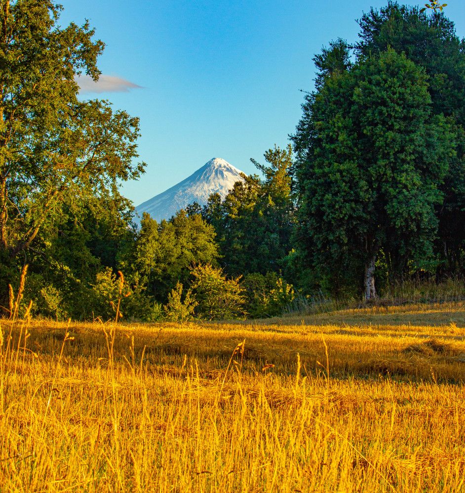 Photograph by Ekaterina Narozhnova